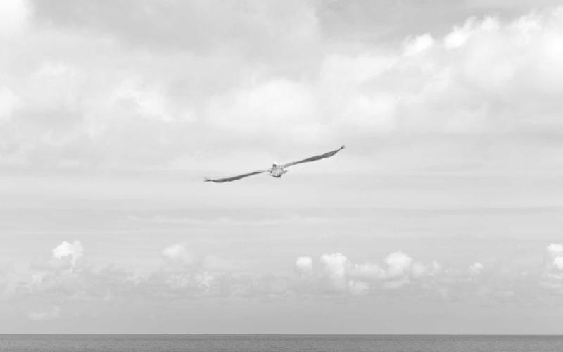 Inforsulfa Jezici — ured